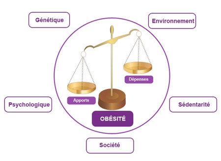 Schéma des causes de l'obésité